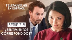 Detrás del Escaparate 4| Pelicula