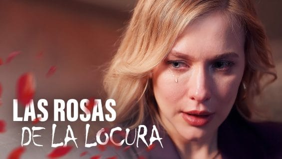 maxresdefault-13-1-565×318