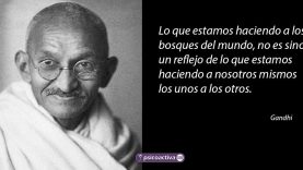 frases-gandhi