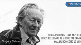gregory-bateson-frases