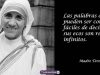 madre-teresa-calcuta-frases-1