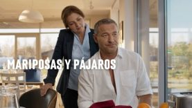 maxresdefault-6-565×318 (1)